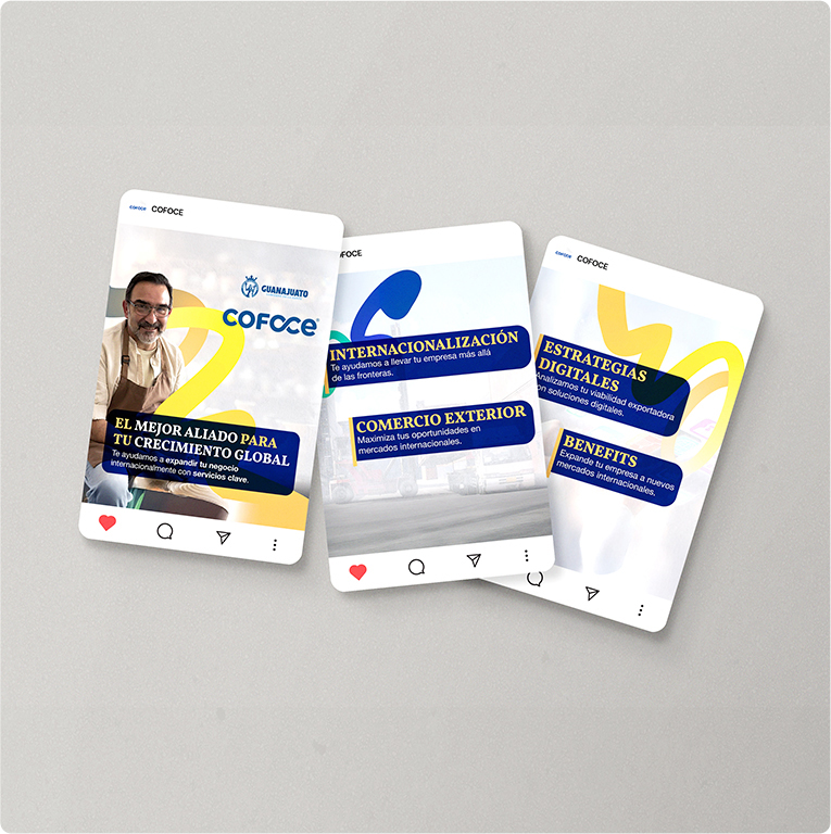 COFOCE — proyecto Difraxion