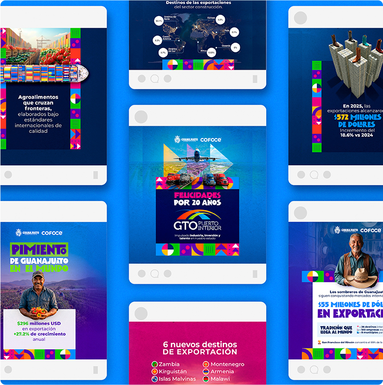 COFOCE — proyecto Difraxion