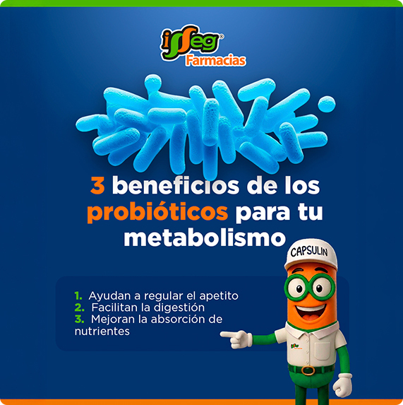 ISSEG — proyecto Difraxion