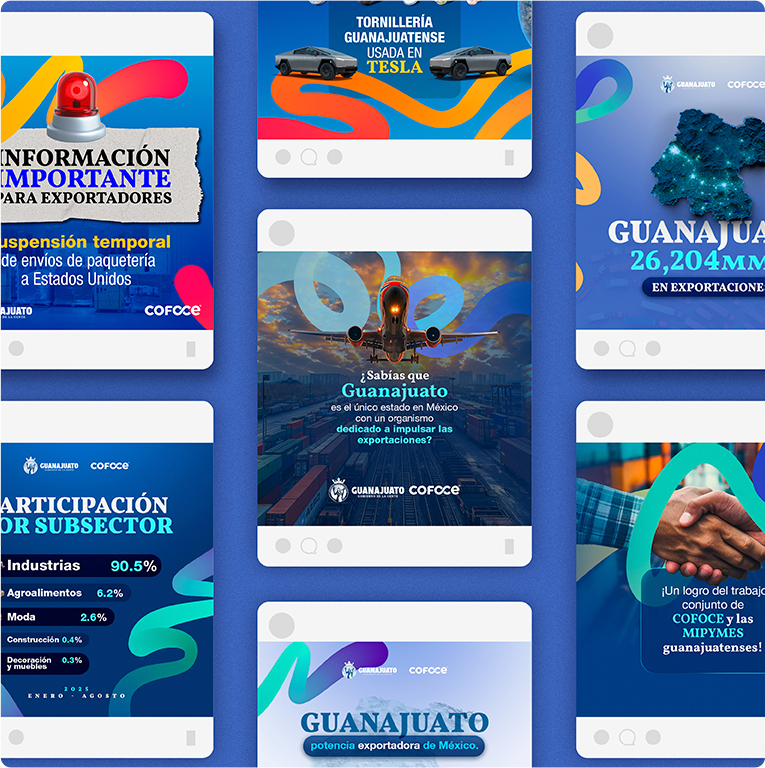 COFOCE — proyecto Difraxion