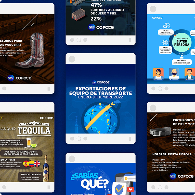 COFOCE — proyecto Difraxion
