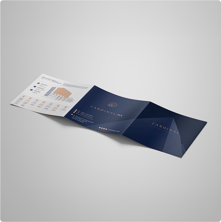Cardinal México — proyecto Difraxion