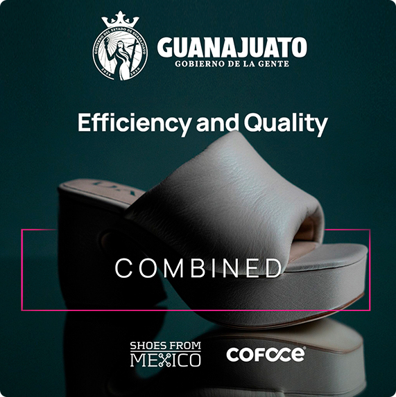 Shoes from México — proyecto Difraxion