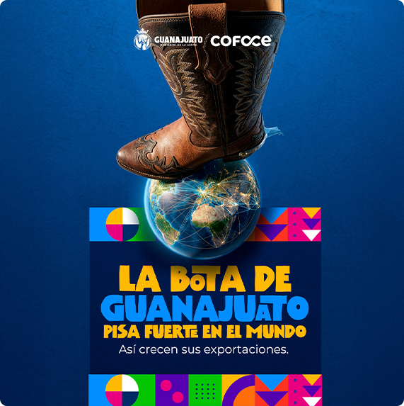 COFOCE — proyecto Difraxion