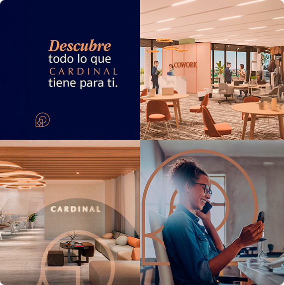 Cardinal México — proyecto Difraxion