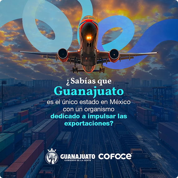 COFOCE — proyecto Difraxion