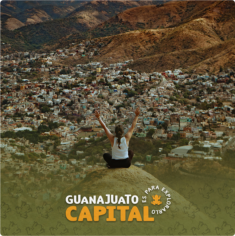 Government of Guanajuato — Difraxion project