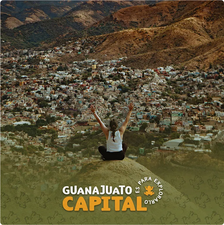 Gobierno de Guanajuato — proyecto Difraxion