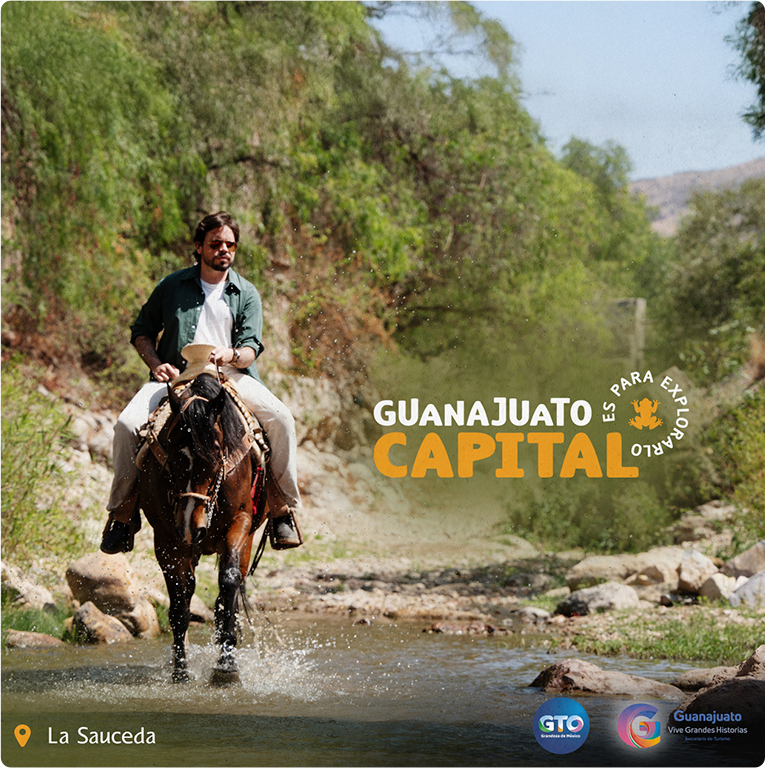 Government of Guanajuato — Difraxion project