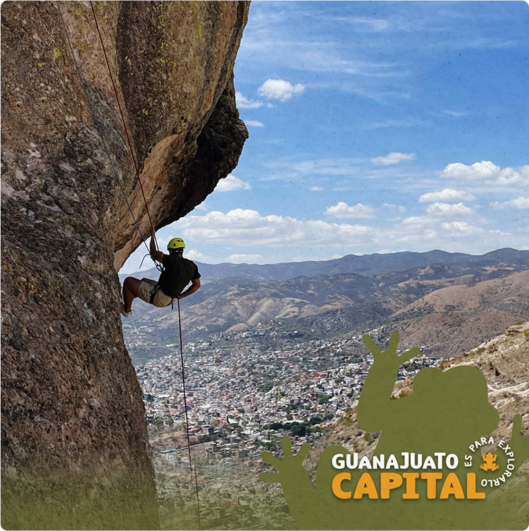 Government of Guanajuato — Difraxion project