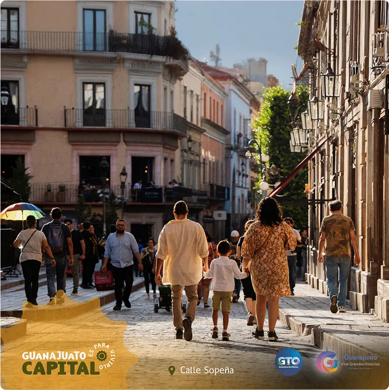 Gobierno de Guanajuato — proyecto Difraxion